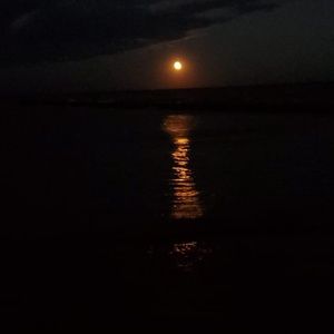 Meet your Posher, Judy